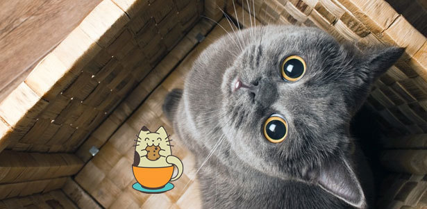 Посещение котокафе «Котики и люди» на «Проспекте Мира»: экскурсия, фотосессия с котами, бесплатный бар и не только. **Скидка 50%**. Всё Подмосковье - kupikupon.ru Посещение котокафе «Котики и люди» на «Проспекте Мира»: экскурсия, фотосессия с котами, бесплатный бар и не только. **Скидка 50%**