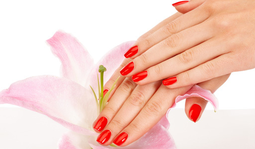 Покрытие ногтей гель-лаком Alex Beauty (Германия) в салоне-красоты Декорум-Студия <font color="#99cc00">от 240р.</font>! 2 недели безупречно красивого маникюра!. Новосибирск - kupikupon.ru Покрытие ногтей гель-лаком Alex Beauty (Германия) в салоне-красоты Декорум-Студия <font color="#99cc00">от 240р.</font>! 2 недели безупречно красивого маникюра!
