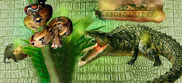 Экскурсия на крокодиловую ферму. Мир живой природы ближе, чем ты себе мог представить! Скидка 50%. Екатеринбург - kupikupon.ru Экскурсия на крокодиловую ферму. Мир живой природы ближе, чем ты себе мог представить! Скидка 50%