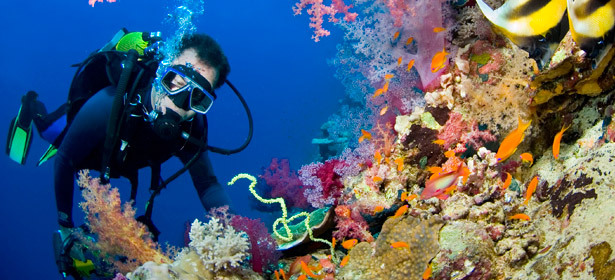 Обучение по системе PADI в дайвинг-клубе «Морские Ангелы» курс OPEN Water Diver (Referral) **со скидкой 70%!** Обучение в маленьких группах, индивидуальный подход, теория + практика
. Москва - kupikupon.ru Обучение по системе PADI в дайвинг-клубе «Морские Ангелы» курс OPEN Water Diver (Referral) **со скидкой 70%!** Обучение в маленьких группах, индивидуальный подход, теория + практика