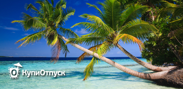 Отдых на Мальдивах от проекта «КупиОтпуск» в декабре и январе. Перелет, проживание в отеле 3\*, 4\* или 5\*, питание, страховка, трансфер, топливный сбор. **Скидка до 30%** . Москва - kupikupon.ru Отдых на Мальдивах от проекта «КупиОтпуск» в декабре и январе. Перелет, проживание в отеле 3\*, 4\* или 5\*, питание, страховка, трансфер, топливный сбор. **Скидка до 30%**