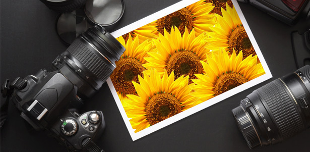 Очные курсы по фотографии для начинающих фотографов в фотошколе Руслана Орлова! **Скидка 60%**. Москва - kupikupon.ru Очные курсы по фотографии для начинающих фотографов в фотошколе Руслана Орлова! **Скидка 60%**