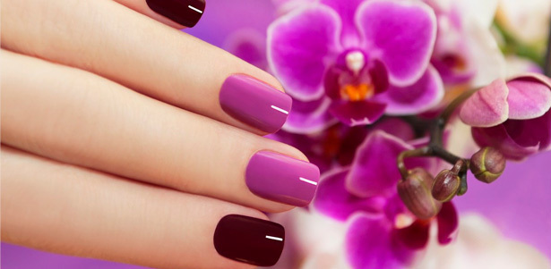 Классический или европейский маникюр и педикюр с покрытием Shellac CND или ORLY в салоне красоты Fashion Nail. **Скидка до 76%**. Москва - kupikupon.ru Классический или европейский маникюр и педикюр с покрытием Shellac CND или ORLY в салоне красоты Fashion Nail. **Скидка до 76%**