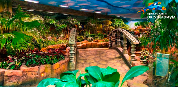 Билеты для взрослых и детей на посещение экспозиции «Джунгли» от «Крокус Сити Океанариума». Свыше 5000 представителей флоры и фауны из разных частей света. **Скидка 50%**