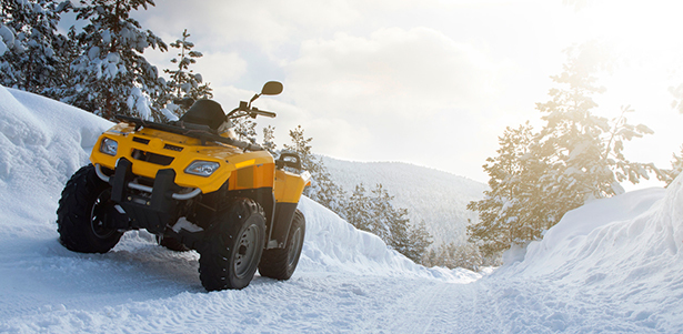 Аренда квадроциклов + организация романтического свидания на природе с прогулкой на квадроциклах от компании GudSpeed. **Скидка до 55%**
