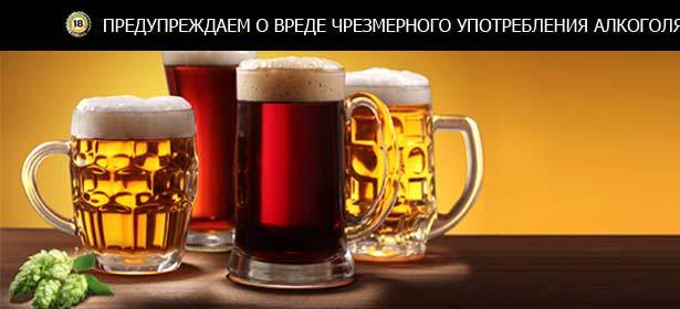 Всё меню и пиво в «Логове» для 1, 2, 4 или 10 человек со скидкой 50% + скидка 30% на аренду бани!